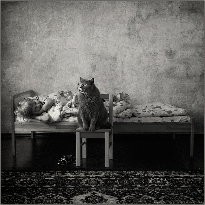 Девочка и кот